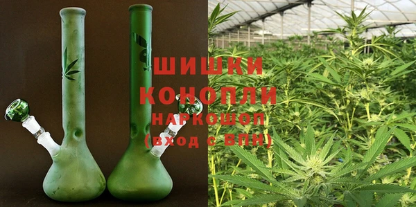 прущие крисы Надым